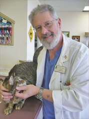 Dr. Hamilton with a patient at Parkglen Animal Clinic