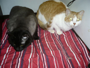 Patients relaxing during their stay