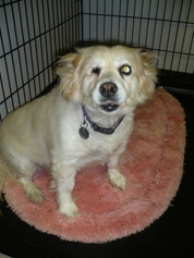 A patient resting comfortably